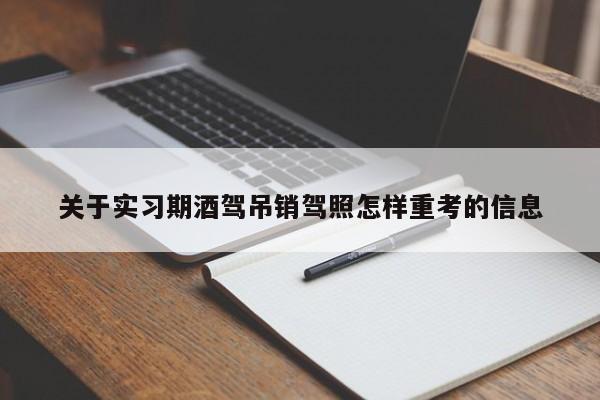 关于实习期酒驾吊销驾照怎样重考的信息